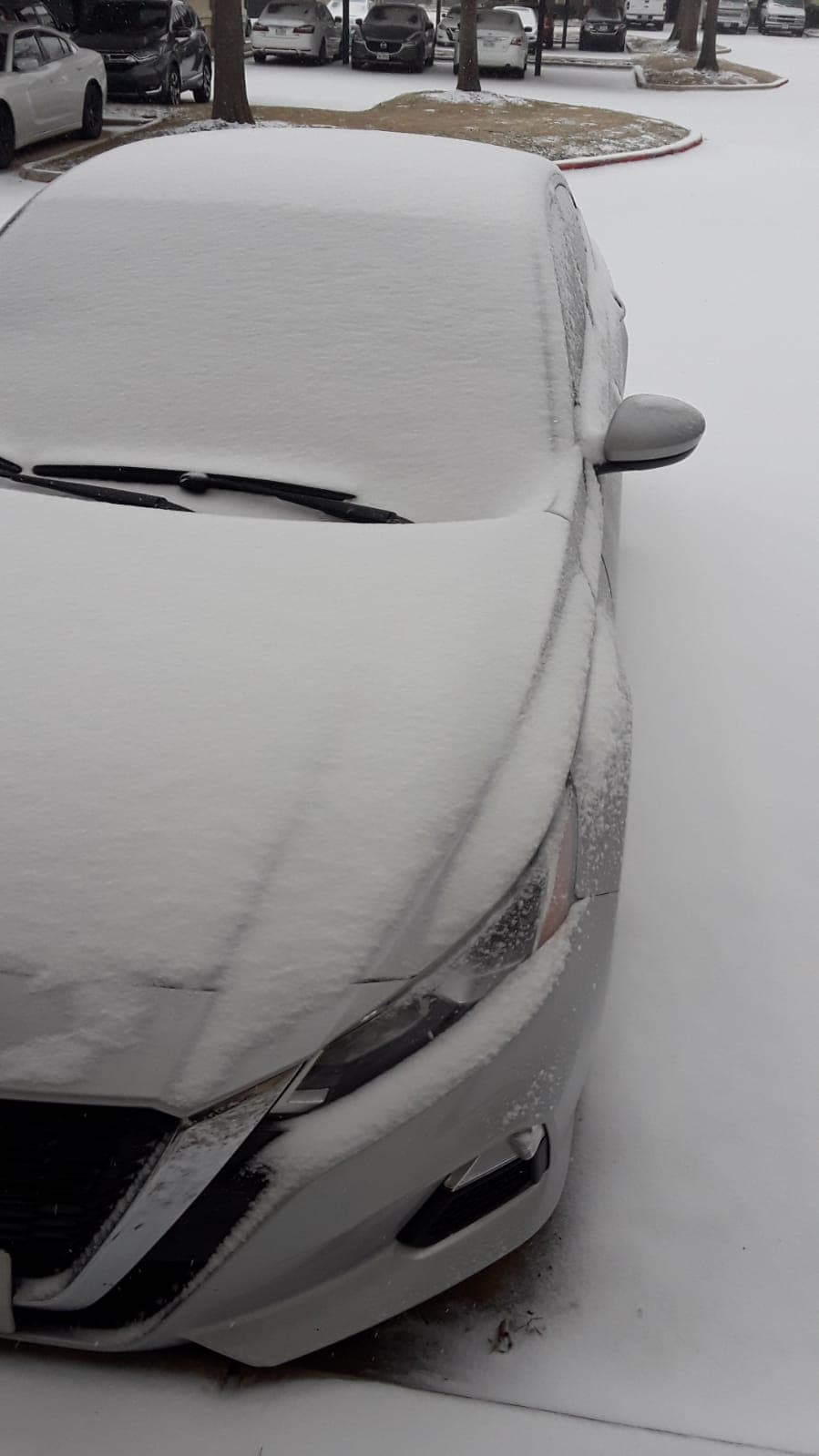 Se esperan acumulados de entre 3 a 7 pulgadas de nieve en algunas áreas del Metroplex.