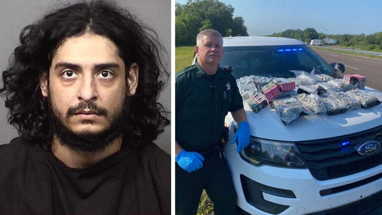 Parada de tráfico descubre a conductor con 17 libras de marihuana y aceites THC en Florida