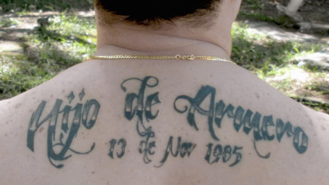 La erupción del volcán Nevado del Ruiz el 13 de noviembre de 1985 casi borra del mapa al pueblo de Armero, en Tolima, Colombia. Parte de la tragedia vino con la desaparición de cientos de niños, algunos de los cuales fueron dados en adopción. Felipe Salama es uno de ellos, y aún está buscando a su familia biológica. Se tatuó en la espalda el día de la tragedia que cambió su destino.