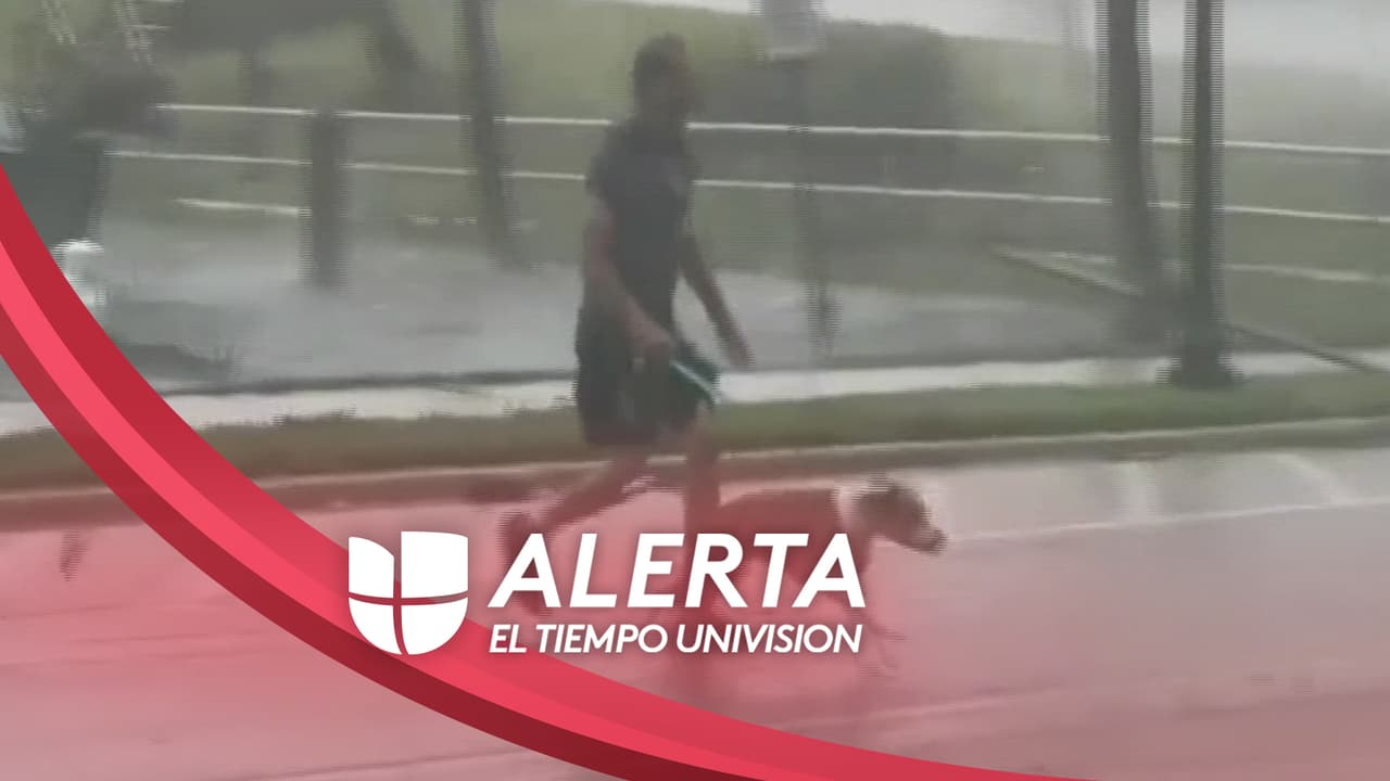 En video: Un hombre rescata a un perro del agua y los vientos huracanados causados por Ian