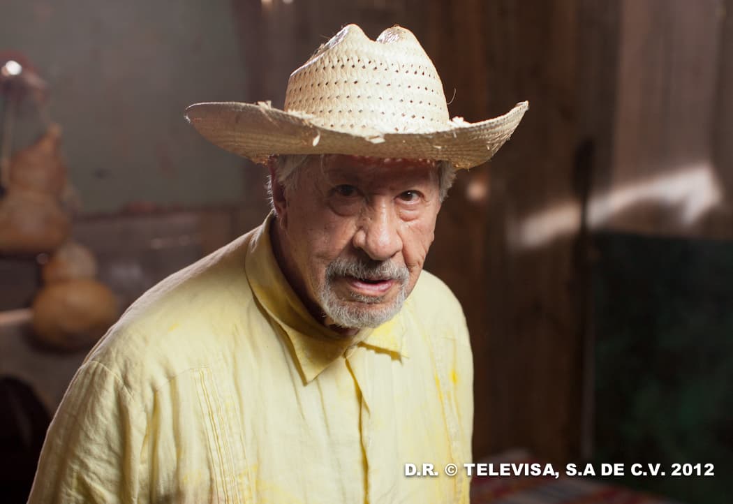 Entre sus éxitos televisivos destacan 'El Carruaje', 'El Derecho de Nacer', 'Senda de Gloria', 
<a href="https://www.univision.com/famosos/lety-calderon-saco-del-baul-de-los-recuerdos-fotos-ineditas-de-la-telenovela-esmeralda-fotos">'Esmeralda'</a> y 'De pocas, pocas pulgas'.