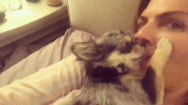 Su perrita Oli es muy cariñosa con ella y el amor de la conductora es recíproco.