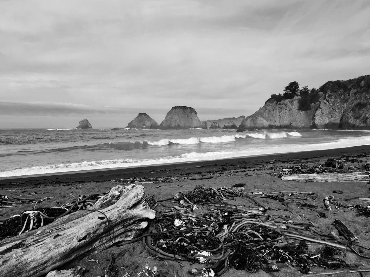 Tierra y mar en blanco y negro. Mendocino County, California.