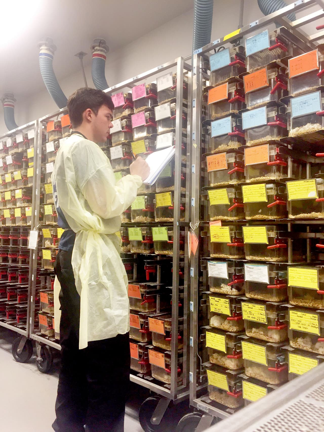 “Uno debe estar seguro que le interesa lo que estudia para poder seguir adelante”, asegura.