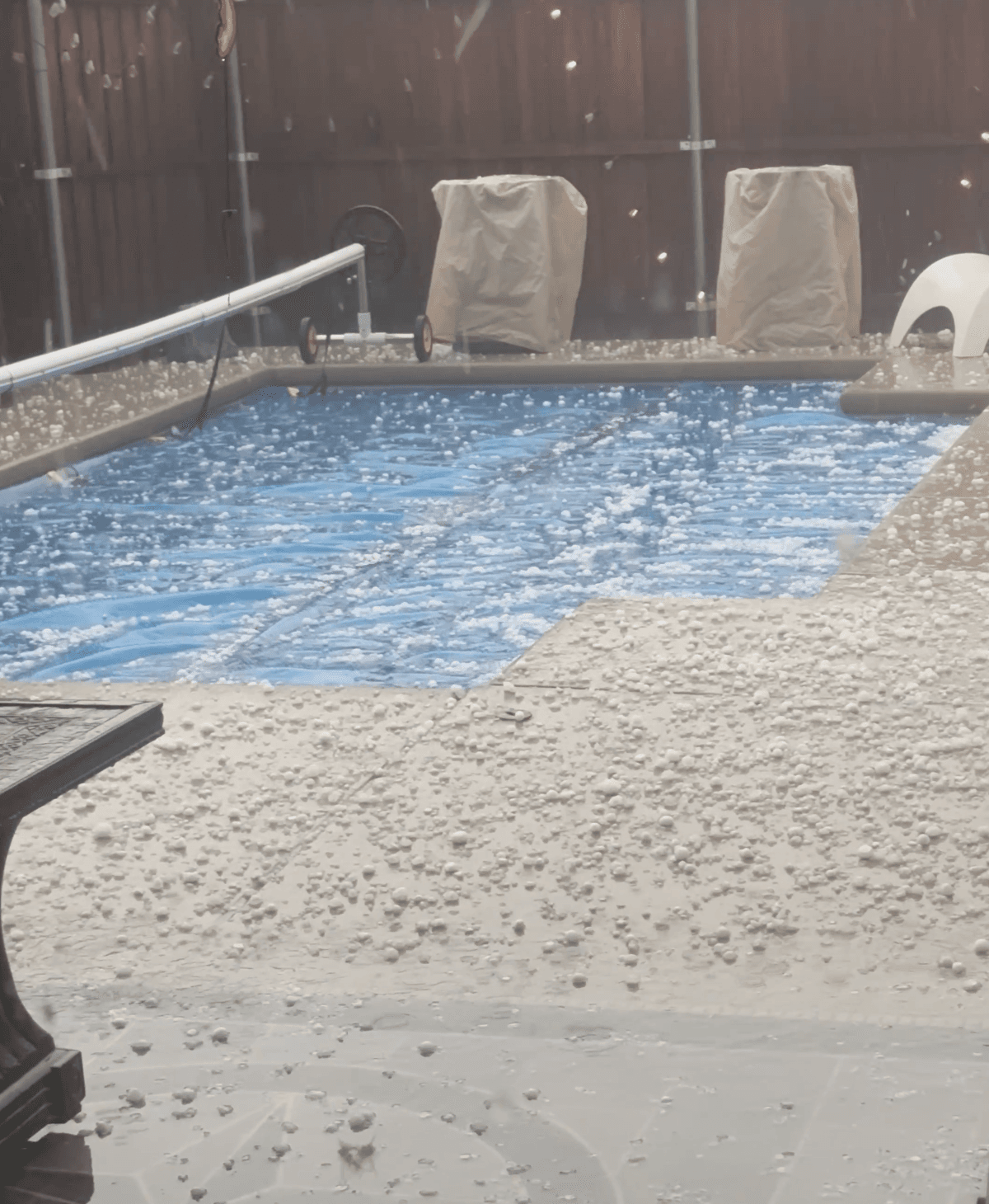 La alberca de Diana Masis está repleta de granizo pequeño en Denton.