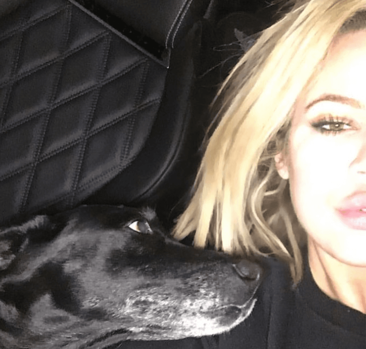 "Fue más que una mascota. Fue mi primera hija, mi compañera y amiga. ¡Era increíble! Siempre se aseguró de que no me sintiera sola aún en momentos muy solitarios. Esta casa jamás será la misma", escribió Khloé Kardashian al informar la muerte de Gabanna, ocurrida el pasado lunes.