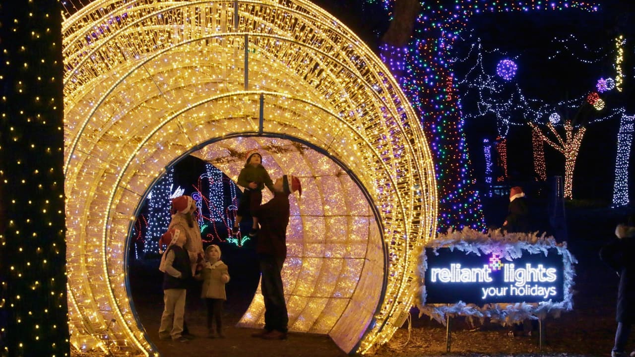 Este año, el evento se inspira en el tema
<i>“Once Upon a Wild Light”</i> (Érase una vez una luz salvaje), donde los visitantes se adentran en
<b> un recorrido iluminado por 60 enormes lámparas de animales y zonas temáticas</b>. Entre las novedades destaca Visions of the Wild, una experiencia interactiva en la que los niños se convierten en exploradores, y
<b>Dino Lumina: A Jurassic Adventure, una proyección inmersiva de dinosaurios que se ilumina especialmente para la temporada.</b>