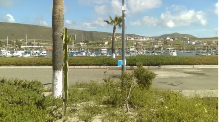 <h3 class="cms-H3-H3">Terreno Ensenada, Baja California</h3>
<br>
<br>
<b>Ubicación</b>: Condominio Privada del Mar, Ensenada, Baja California
<br>
<b>Tipo de inmueble</b>: Terreno
<br>
<b>Superficie: </b>335 m2
<br>
<b>Valor total del premio en</b>
<b>especie y efectivo: </b>$1.86 millones de pesos