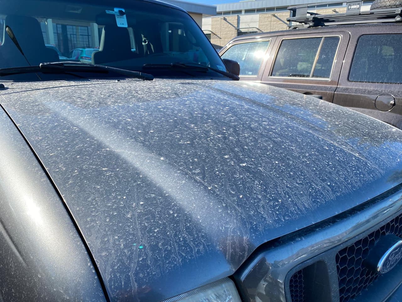 Así que si eres de los muchos que terminaron con el carro de otro color, se recomienda que se lave de inmediato para así no dañar la pintura del vehículo.