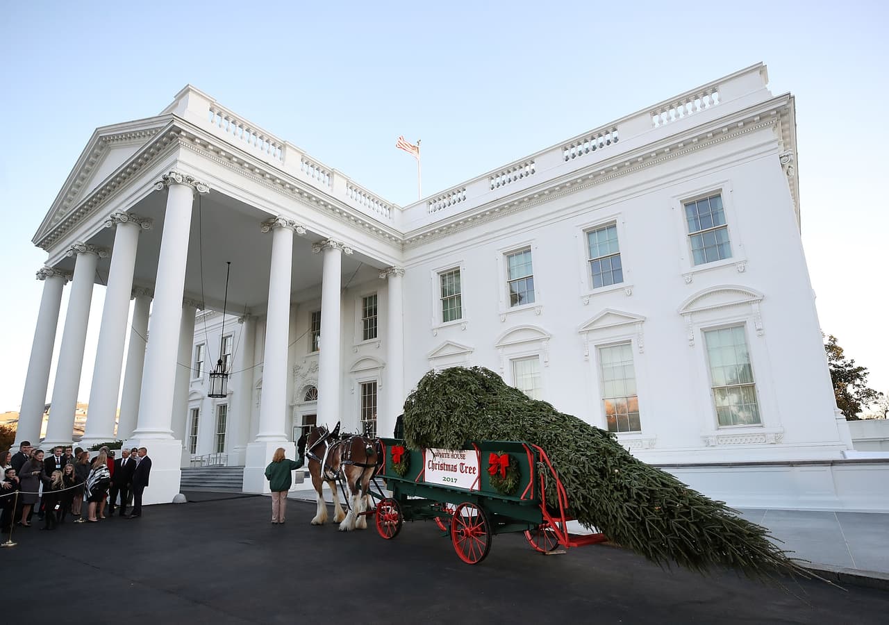 El pino pertenecía a la familia Chapman, de Wisconsin. Es la tercera vez que esta familia proporciona el árbol de navidad de la residencia presidencial, lo habían hecho en 1998 y 2003.