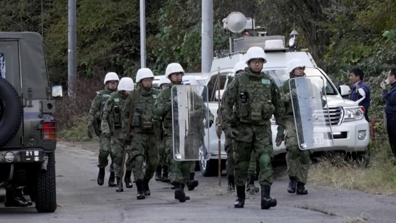 Japón despliega a su Ejército… para combatir los ataques de osos