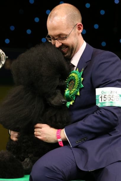 Pero no sólo eso, el premio que 'Ricky' recibió también lo avala como el mejor en salud, pelaje, carácter, temperamento y movimientos.