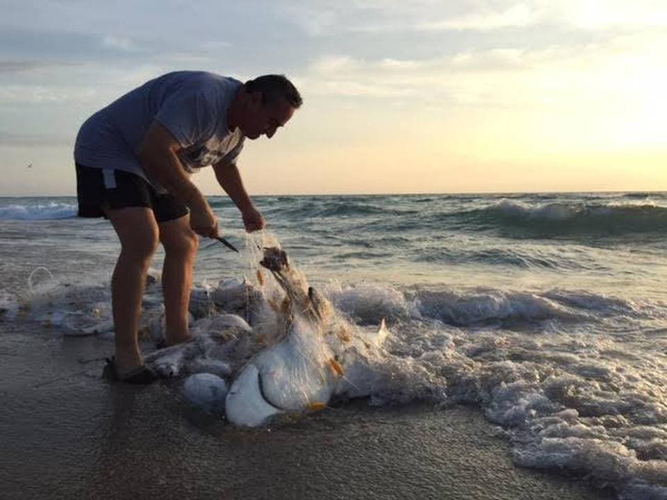 Florida: Colombiano rescata a tiburón de red de pesca