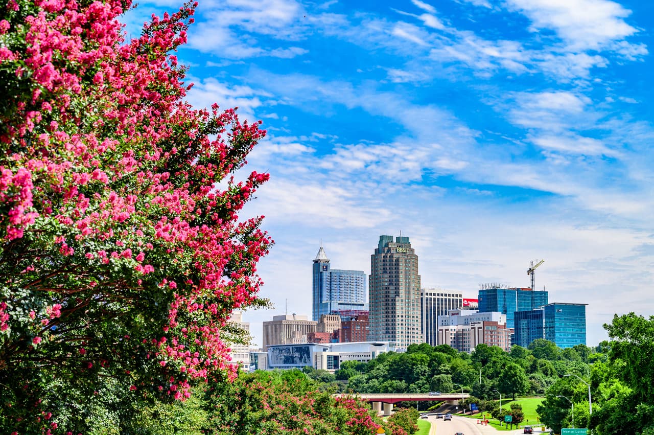 "Se invita a las empresas y propietarios de edificios a mostrar su apoyo mostrando luces de color ámbar durante 30 minutos o más", agregaron.