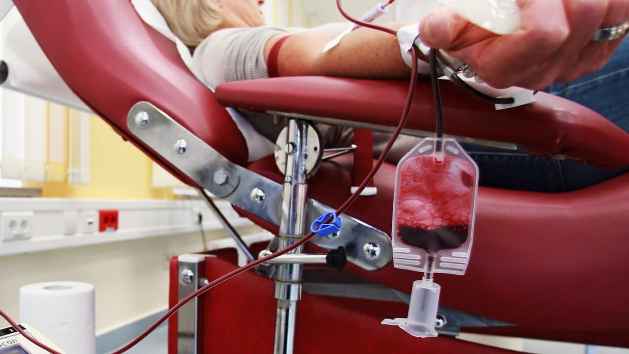 Organizan eventos de donación de sangre en Houston por la emergencia del coronavirus