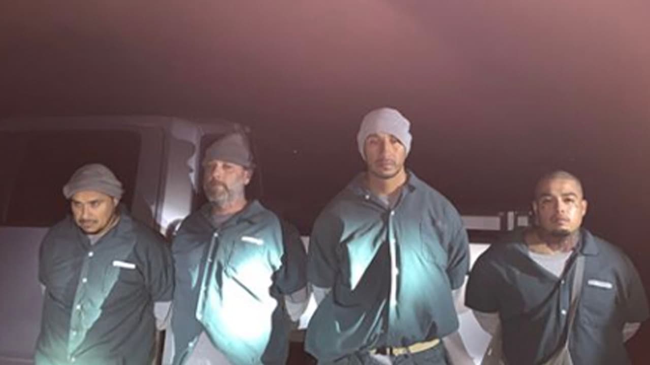 Descubren 4 presos que introducían botellas de alcohol y teléfonos celulares en una cárcel de Texas