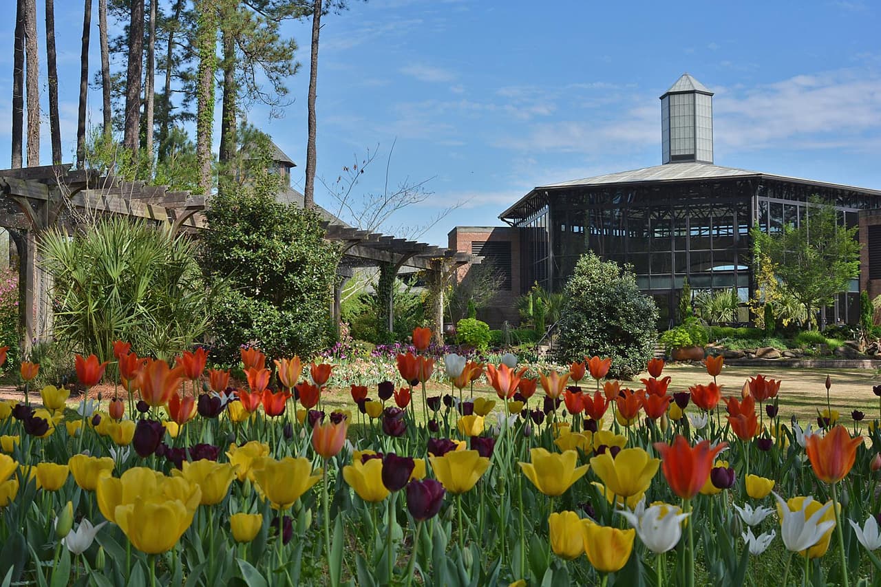 <b>Cape Fear Botanical Garden (Fayetteville)</b>
<br>
<b>Sitio web</b>:
<a href="https://www.capefearbg.org/">https://www.capefearbg.org/</a>
<br>
<b><a href="https://maps.app.goo.gl/iREuUGnyBJtvTJZp7">Cómo llegar</a> </b>
<br>
<br>El Jardín Botánico Cape Fear es una belleza natural situada en unos impresionantes 80 acres ubicados entre el río Cape Fear y Cross Creek, a solo dos millas del centro de Fayetteville. El Jardín Botánico Cape Fear es una organización sin fines de lucro que conecta a sus visitantes con la naturaleza. Cuenta con programas educativos para niños y adultos, ubicaciones de espacios privados y lugares donde sentarse en silencio y reflexionar.