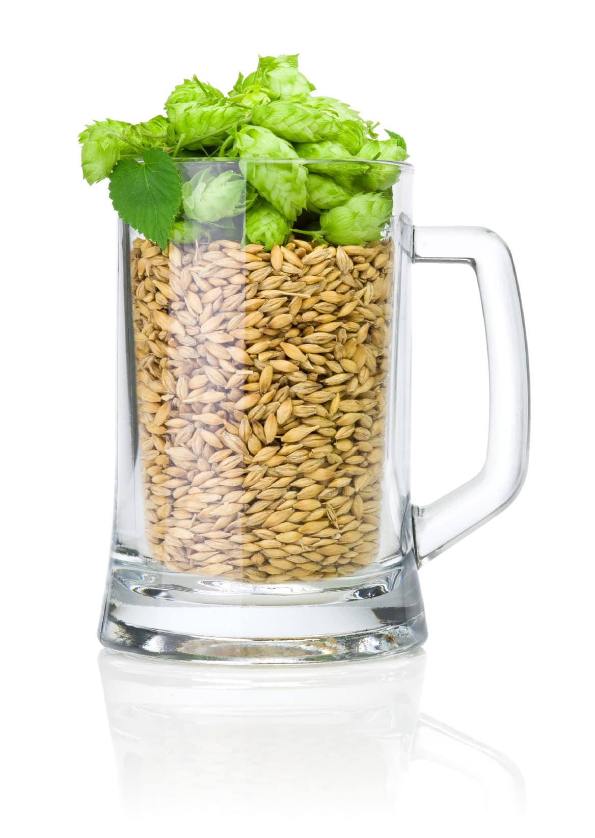 La cerveza posee un ingrediente que protege las células del cerebro de enfermedades neurodegenerativas, según sugiere un estudio.