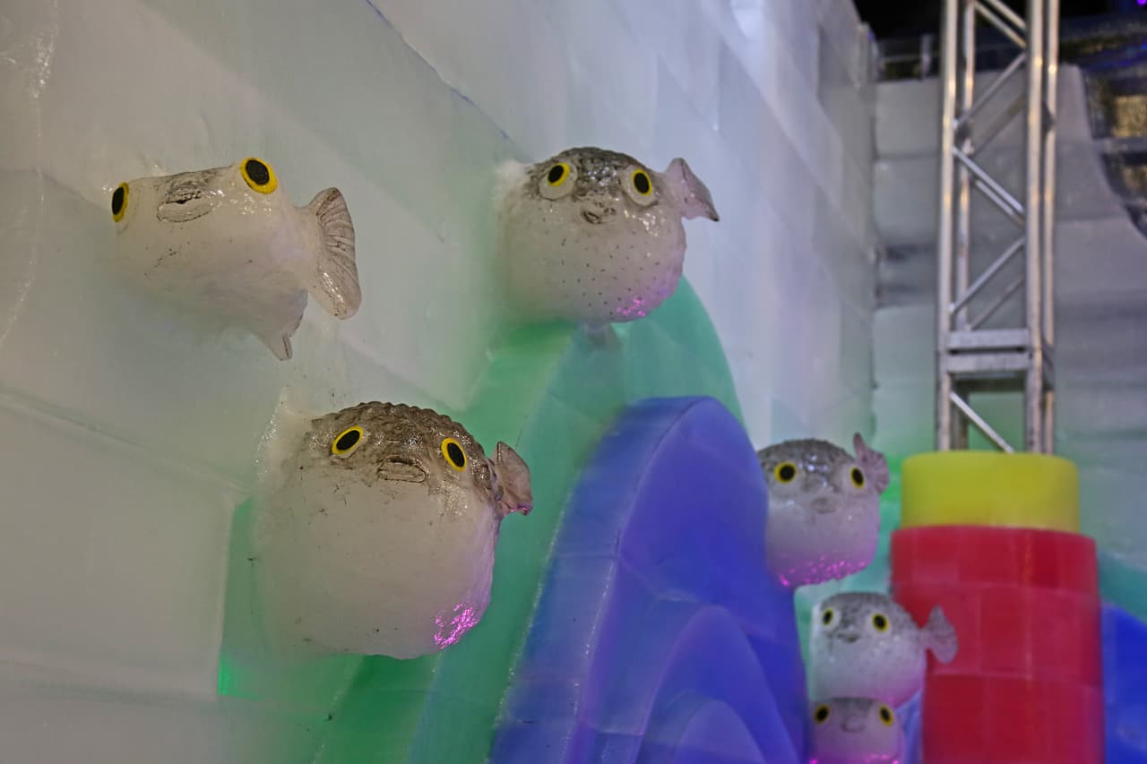 Peces globo, esculpidos muy cerca del deslizador de hielo, parecen cobrar vida ante las miradas sorpendidas de los más chicos.
