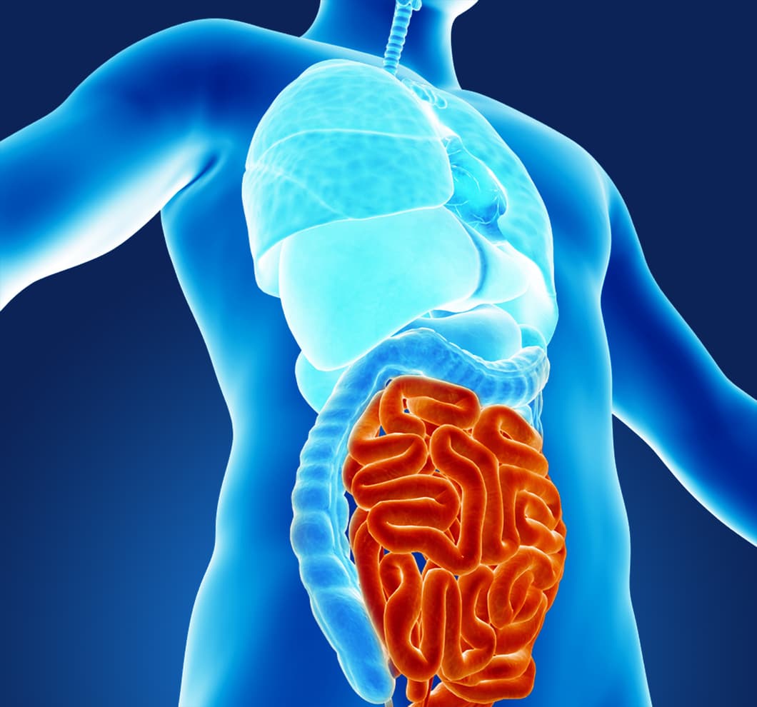 Alertan por un parásito en agua y alimentos que causa infección estomacal prolongada