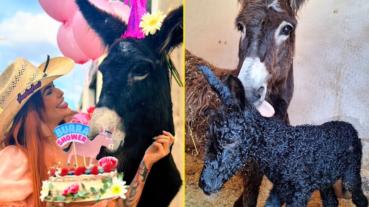 Elena Larrea se convierte en ‘abuela’ a dos días de su repentina muerte