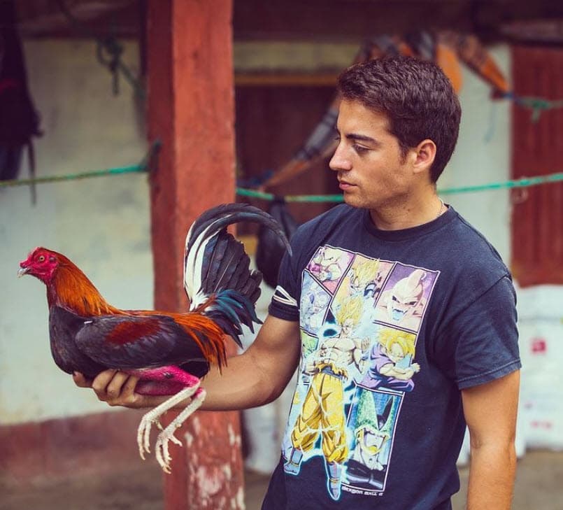 También ha compartido fotos junto a los gallos del criadero.
<br>