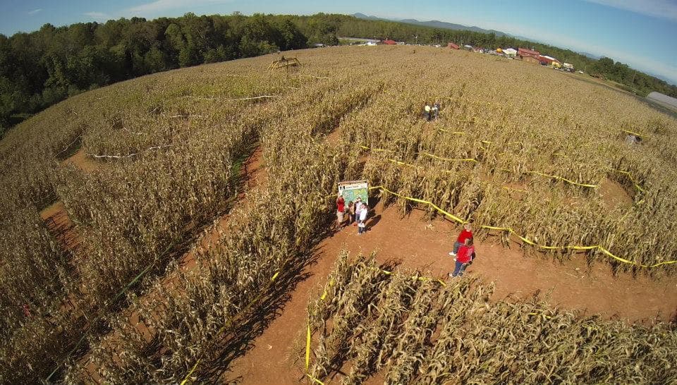 <b><a href="https://www.jaemorfarms.com/" target="_blank">Jaemor Farms (5340 Cornelia Hwy, Alto)</a></b>: Desde mediados de septiembre hasta principios de noviembre, Jaemor Farms ofrece una experiencia agrícola completa centrada en su laberinto anual de maíz.