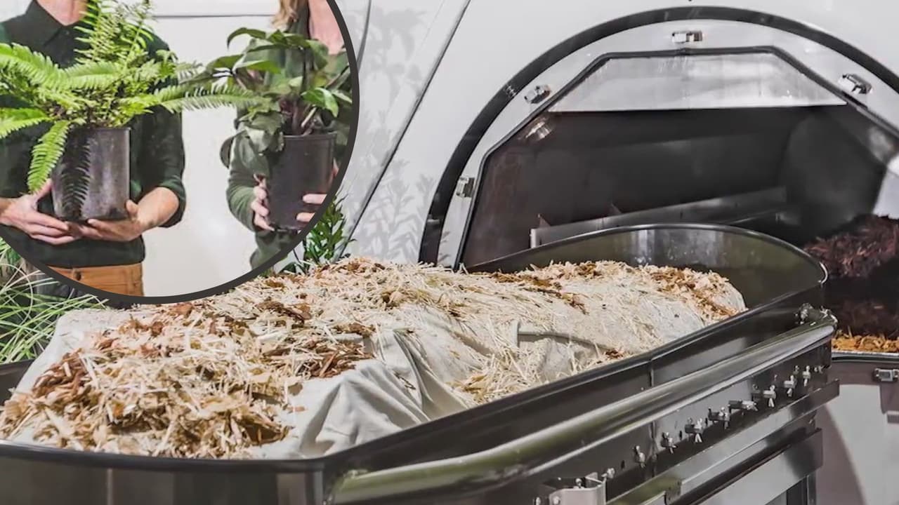 California aprueba el compostaje humano: qué es esta alternativa para después de la muerte