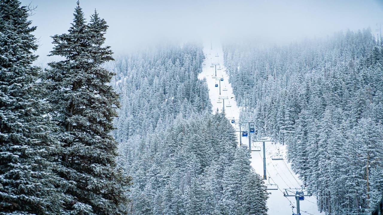 ¿Te gusta la nieve? Todavía puedes ir a disfrutar de la nieve en Flagstaff.
<a href="https://www.univision.com/local/arizona-ktvw/tiempo">Se pronostica que caerá más nieve este fin de semana</a> en el Arizona Snowbowl.
<br>