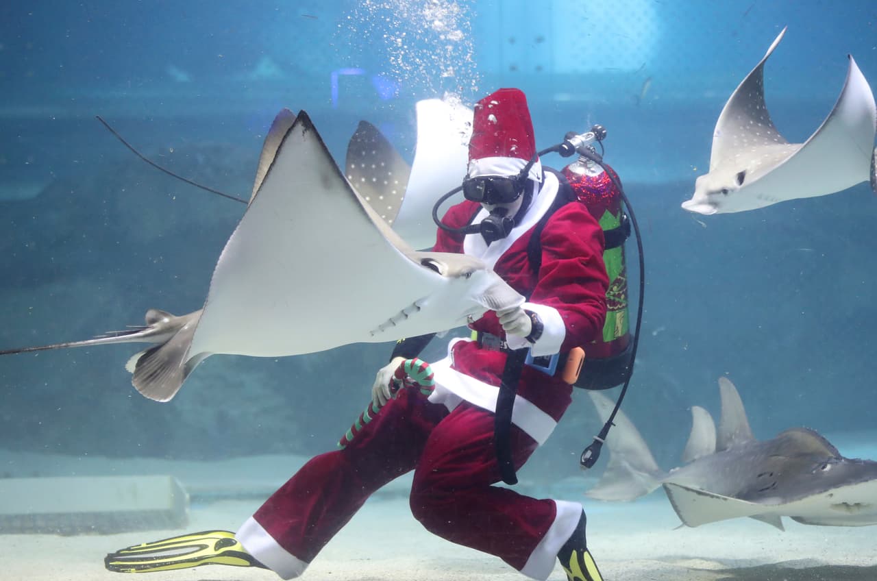 Dressed in Santa Claus outfits, a diver feeds a ray during an event to celebrate the upcoming Christmas at the Coex Aquarium in Seoul, South Korea, Sunday, Dec. 10, 2017. (AP Photo/Lee Jin-man)