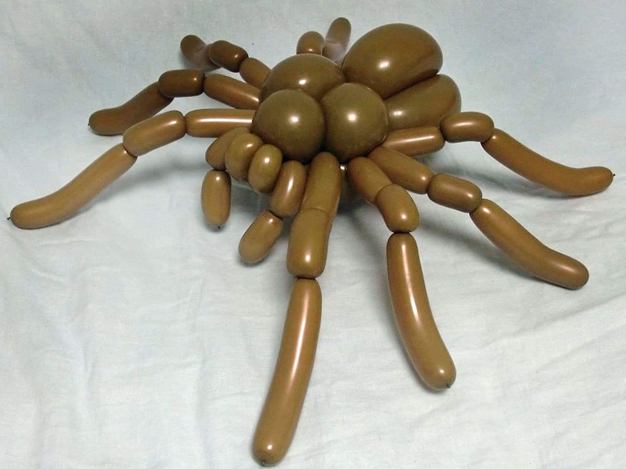 Hacen animales con globos