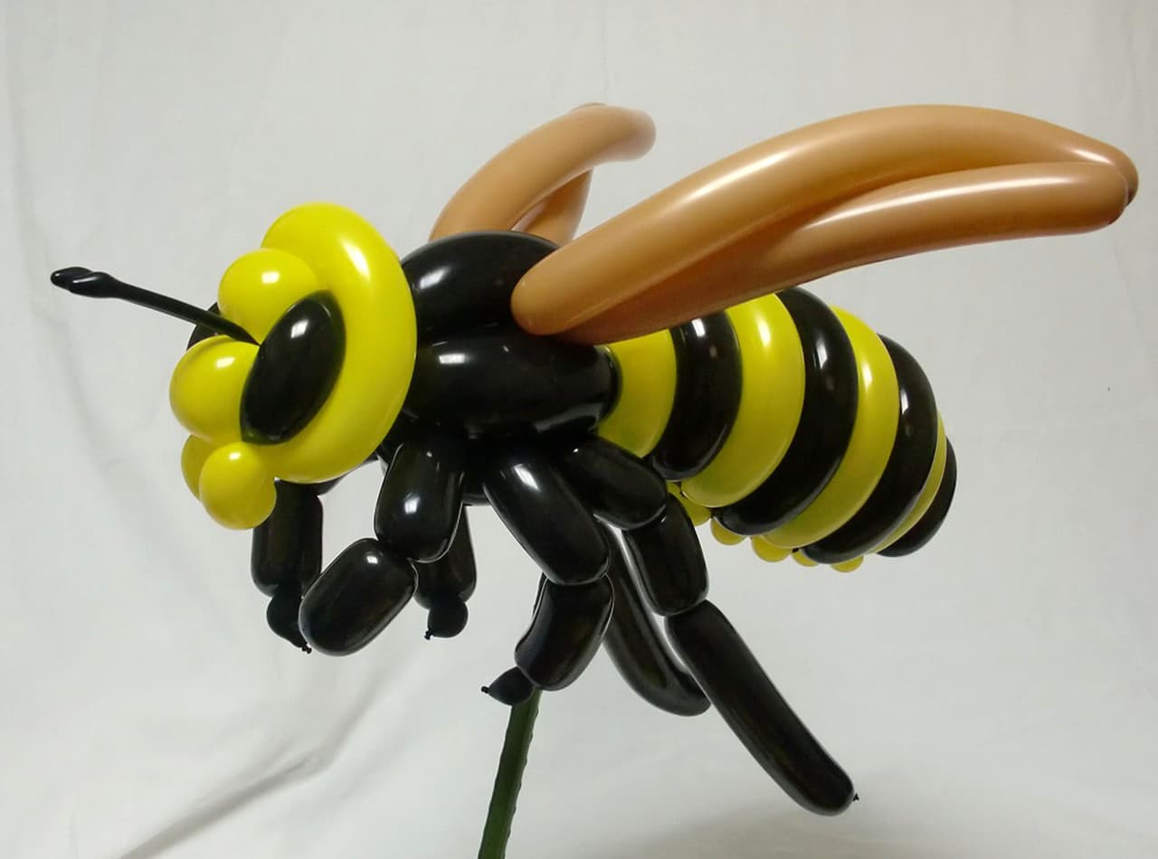 Hacen animales con globos