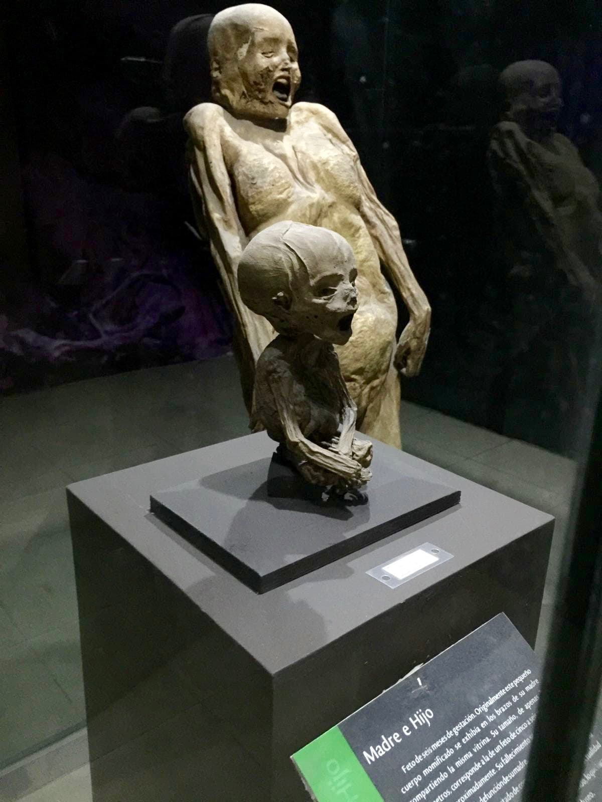 El misticismo y leyendas han generado el interés de millones alrededor del mundo.