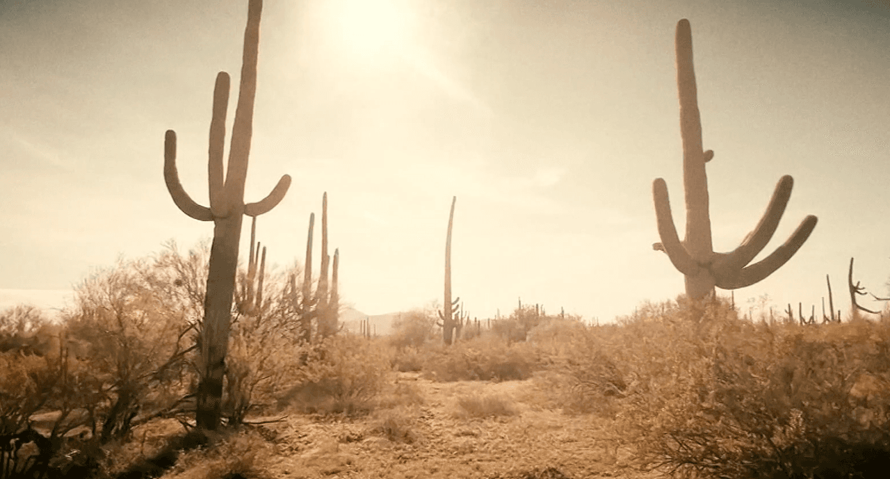 La mujer llevaba consigo su teléfono móvil. Con él, 
<b>pudo enviar una serie de audios a su familia</b>, relatando lo duro de su travesía, con una voz que, poco a poco, daba cuenta de cómo su salud se iba deteriorando de manera irremediable.