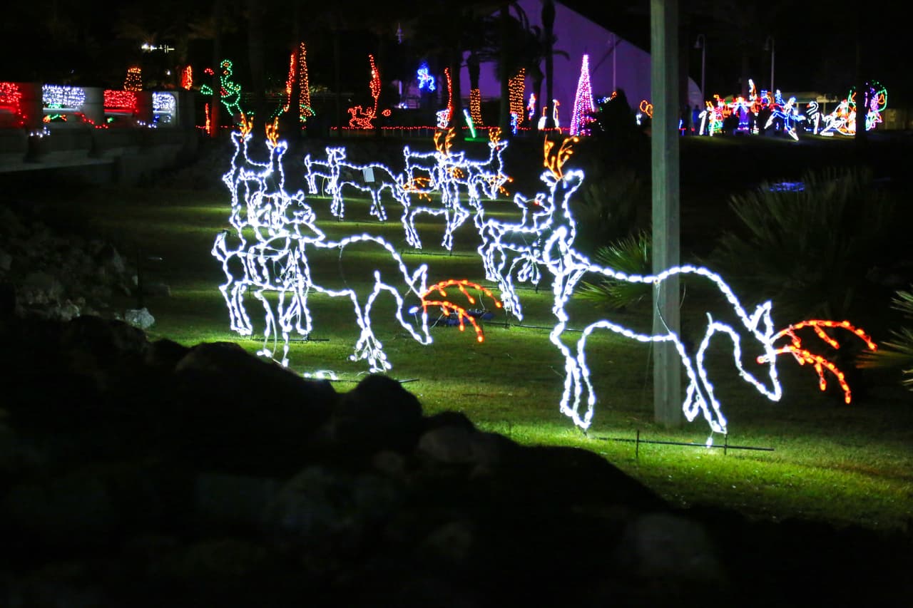 Los renos, una de las figuras navideñas más icónicas.