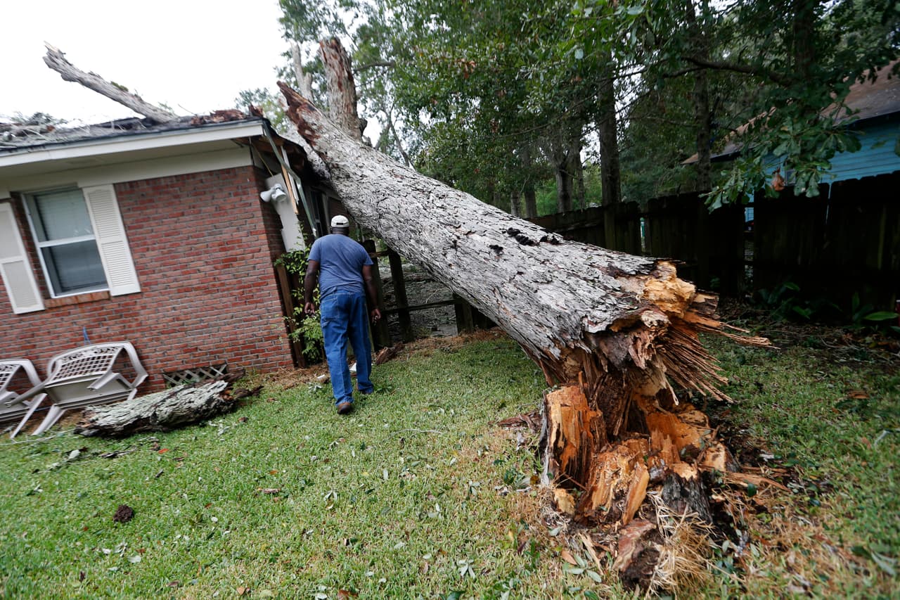 El vecino de Biloxi, Mississippi, Lawrence Carriere, revisa su casa luego de que los vientos de la tormenta y huracán Nate derribara un árbol en su vivenda.