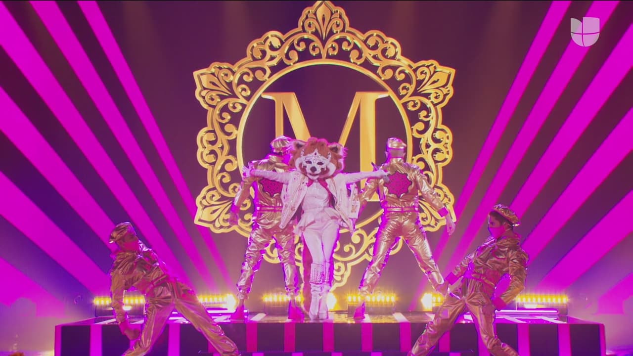 Mapache fue el segundo personaje en aparecer y nuevamente se robó el corazón de Juanpa Zurita.
<br>