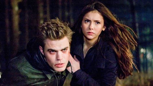 Tras conocerse dichos jóvenes, comienzan a tener toda clase de aventuras que ponen en peligro su vida. Además, se desarrolla el triángulo amoroso entre ellos, al punto de que los hermanos vampiros Stefan y Damon están dispuestos a todo con tal de quedarse con el amor de Elena.