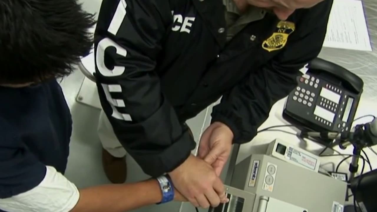 Mostrar documentos puede ser lo más seguro para evitar una detención prolongada por ICE: Expertos