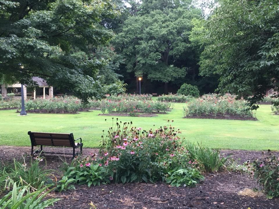 <b>Rosas para la flor más bella.</b> Te encantará este lugar, cerca de Cameron Village en Raleigh. Pasea junto a mamá por el jardín de rosas y luego siéntense a hacer un picnic en el hermoso césped del parque.