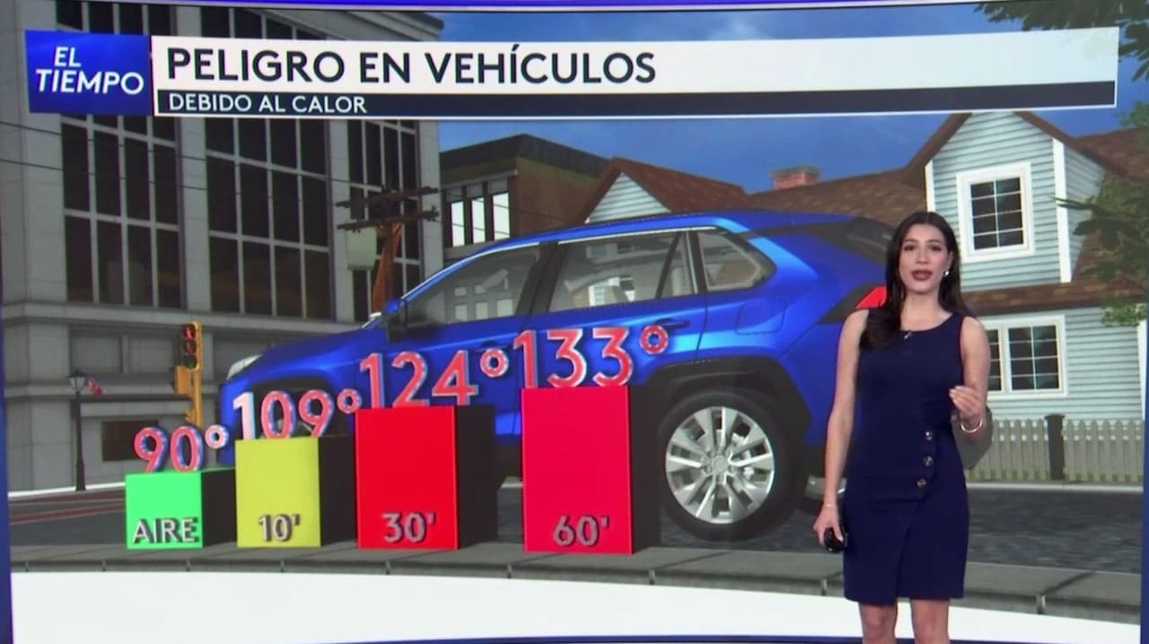Ola de calor en EEUU: Cuidado, tu carro puede superar los 100º F en tan solo minutos