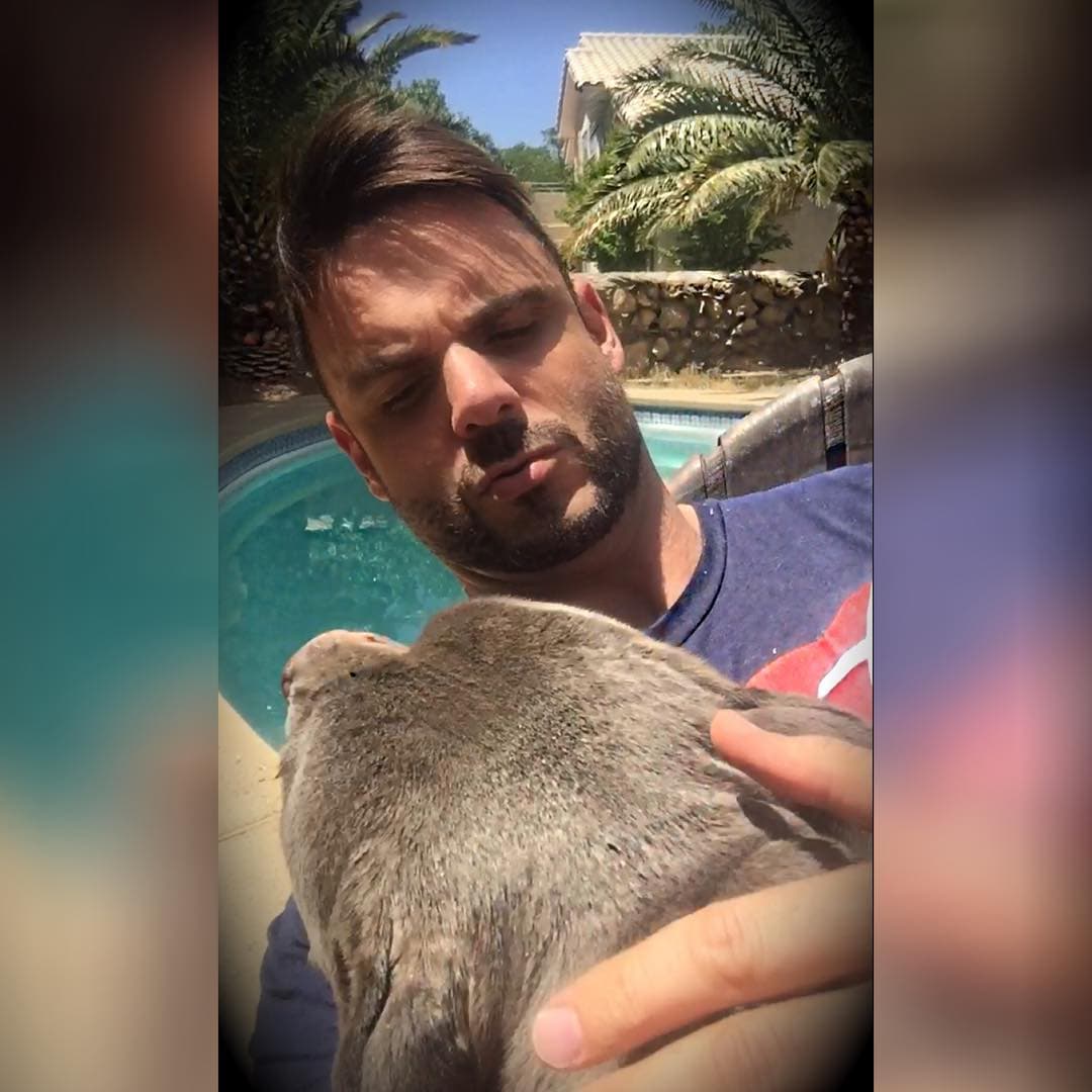 Los esposos jamás confirmaron la noticia, ya que un año más tarde Uberto Bondoni tuvo un accidente de automóvil en Texas y los rumores de la separación se callaron.