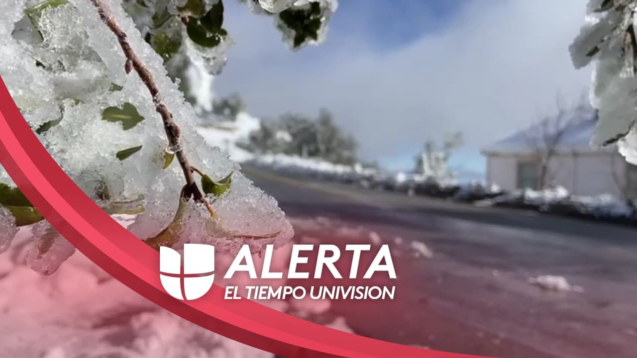Advertencia de congelamiento para el Área de la Bahía: mira dónde hará más frío