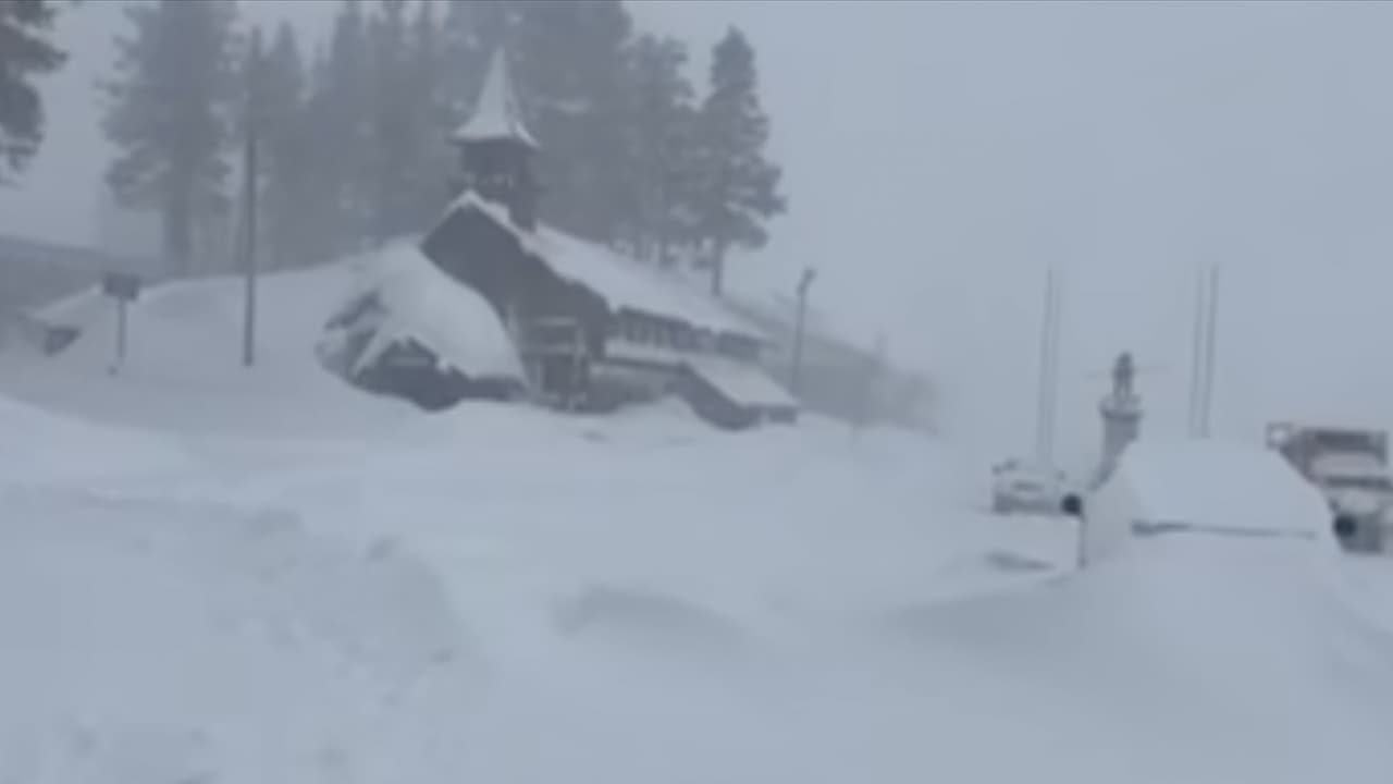 Los sobrevivientes fueron trasladados a un lugar seguro y evaluados por el Departamento de Bomberos de Truckee; 
<b>dos de ellos requirieron traslado a un hospital </b>cercano para recibir tratamiento médico adicional. Varios centros de esquí de Tahoe habían cerrado total o parcialmente debido al clima.