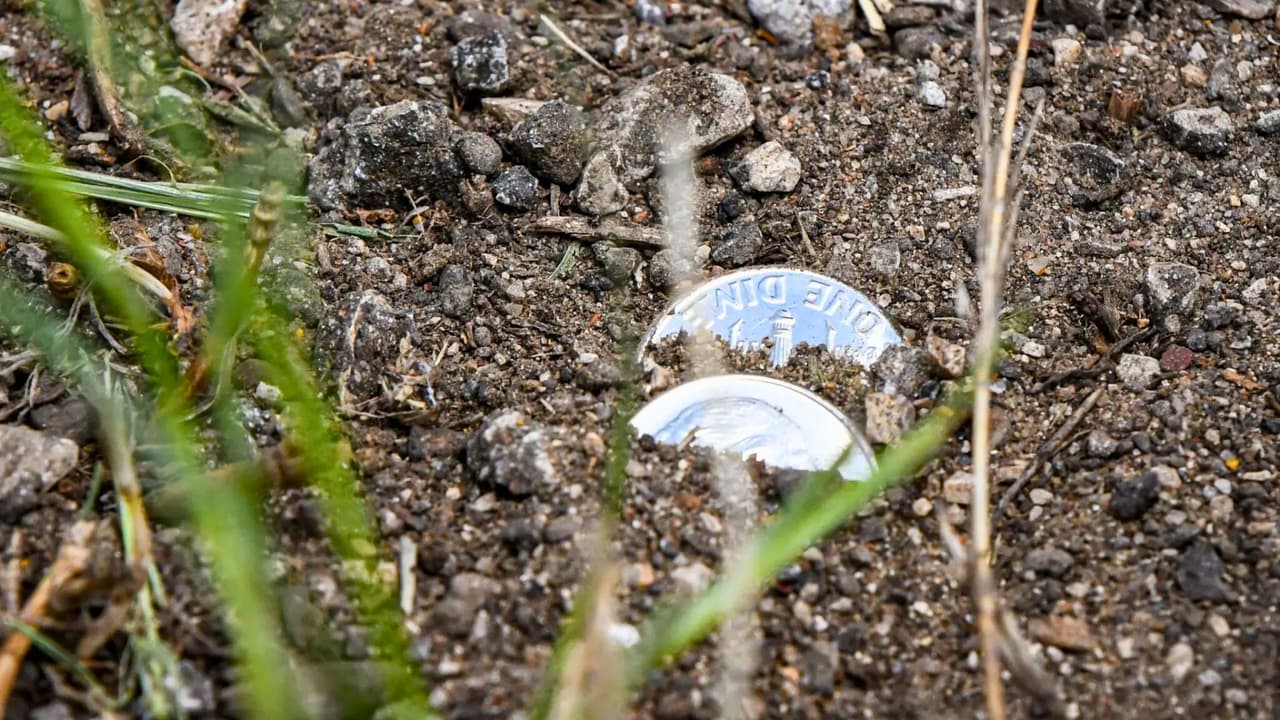 Según autoridades, el conductor perdió el control por razones que aún se investigan. 
<br>
<br>El tráiler terminó recostado sobre un costado, con 
<b>su carga brillante desparramada entre el asfalto, la hierba y el lodo.</b> Cada moneda 
<b>debe ser recogida, contada y lavada cuidadosamente antes de volver a entrar en circulación.</b> 
<br>
<br>Las cuadrillas de emergencia y mantenimiento
<b> tuvieron que cerrar la vía durante varias horas</b>, desviando el tráfico hacia rutas alternas en una zona rural del norte de Texas.