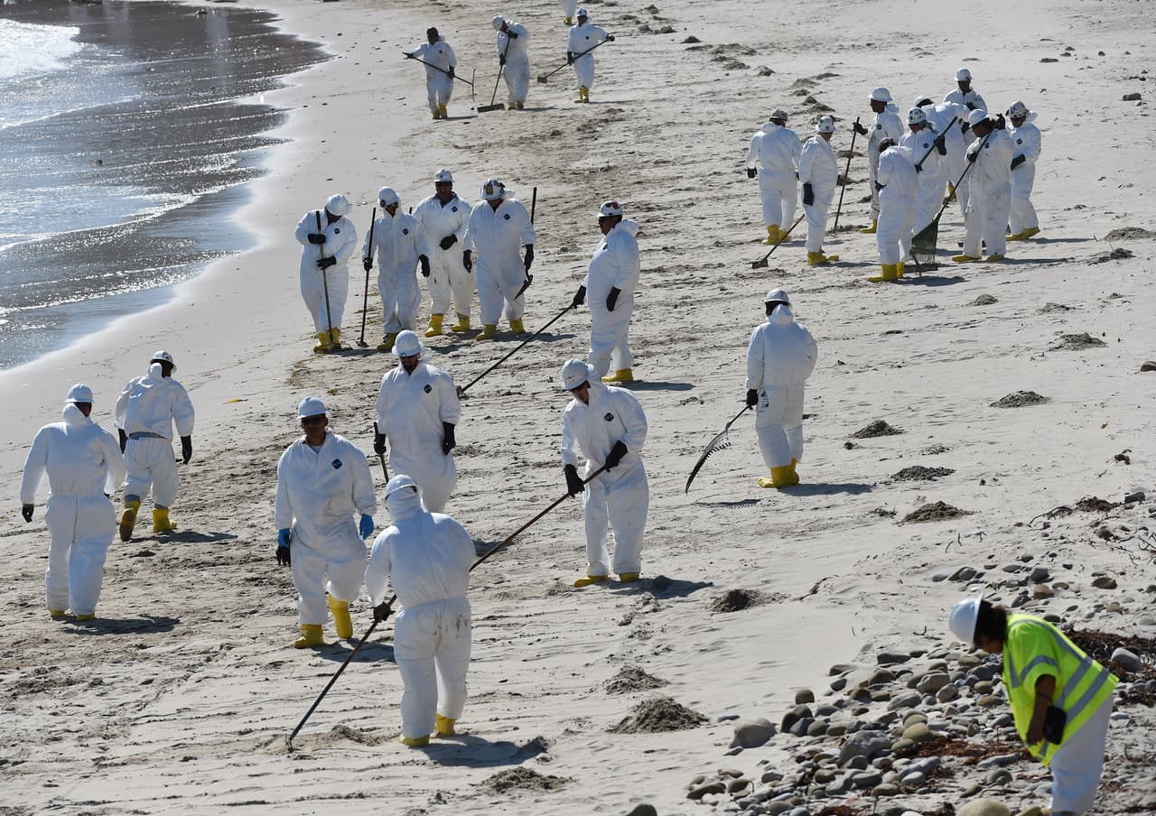 Decenas de voluntarios participaron en las labores de limpieza de playas