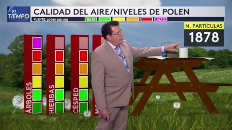 <b>¿CÓMO PUEDO PROTEGERME?</b> Si eres alérgico al polen o si tienes asma, puedes tomar medidas para protegerte, como verificar los pronósticos de polen en las noticias locales y fuentes en línea y planee pasar menos tiempo al aire libre cuando los niveles de polen sean altos.