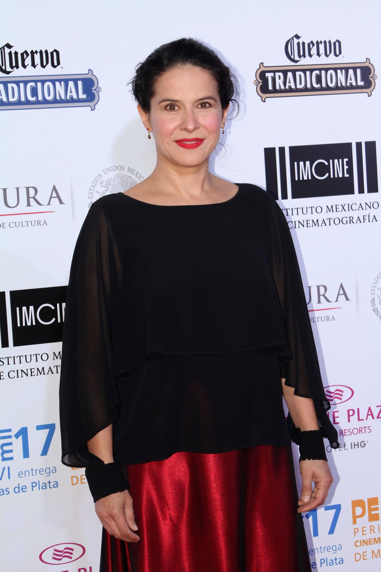 <b><a href="http://www.univision.com/temas/arcelia-ramirez">Arcelia Ramírez</a></b> también estará en 'El vuelo de la Victoria', ella es una de las actrices que también ha trabajado con 
<b><a href="http://www.univision.com/temas/paulina-goto">Paulina Goto</a></b>, pues en 'Un camino hacia el destino' sus papeles se convirtieron en grandes amigas.