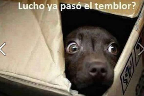 Te traemos los memes más divertidos del juego entre Costa Rica y Jamaica