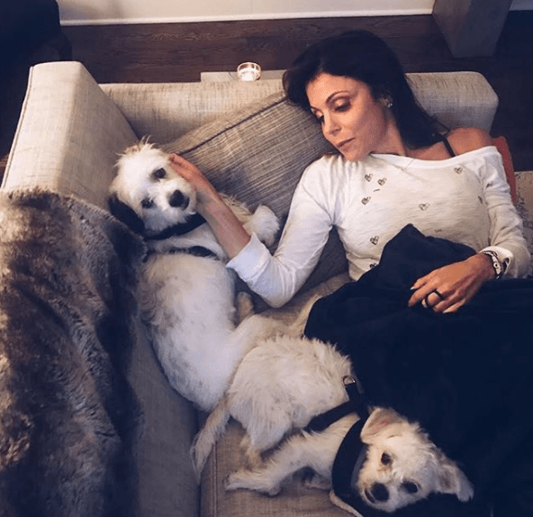 Cabe destacar que de acuerdo con la revista Forbes, en 2016 Bewthenny obtuvo ganancias por cerca de 8.5 millones de dólares por su franquicia.